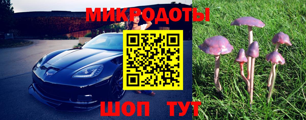 Галлюциногенные грибы Magic Shrooms  Вход с VPN  цена наркотик  Галлюциногенные грибы Psilocybine cubensis  Петрозаводск 